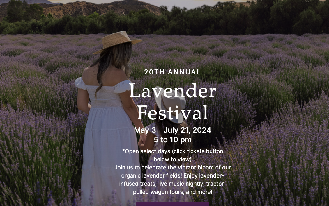 第20届薰衣草节 Lavender Festival