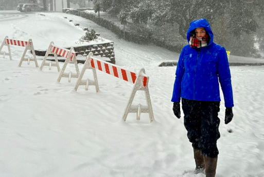 美国南部“百年一遇”大降雪！餐馆冷到不想营业 从未见过这场面！